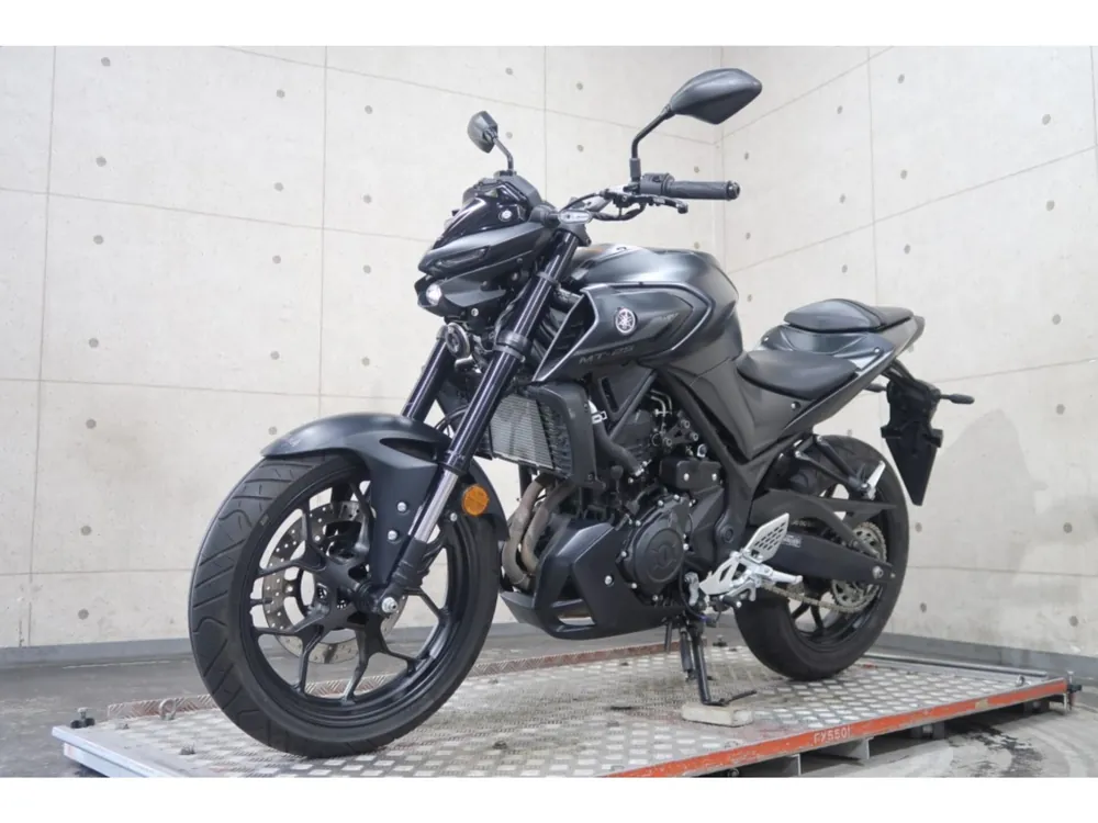 Yamaha YZF-R25, maddo black, фото 3