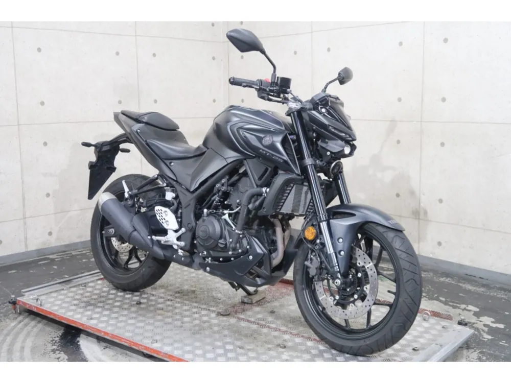 Yamaha YZF-R25, maddo black, фото 4