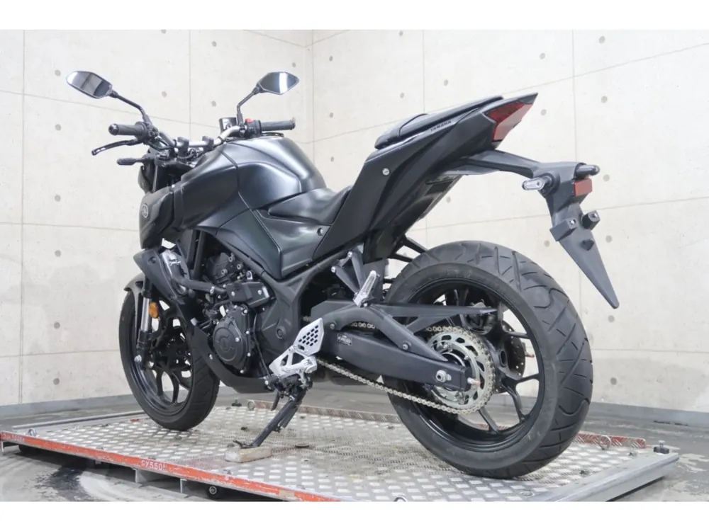 Yamaha YZF-R25, maddo black, фото 5