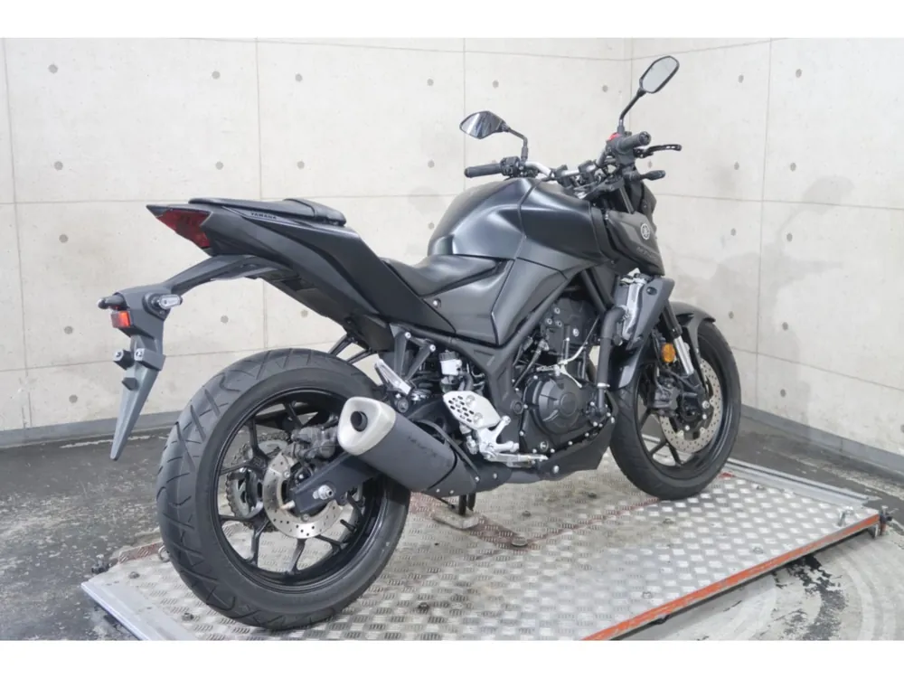 Yamaha YZF-R25, maddo black, фото 6