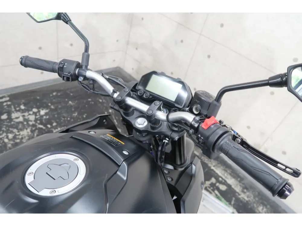 Yamaha YZF-R25, maddo black, фото 8