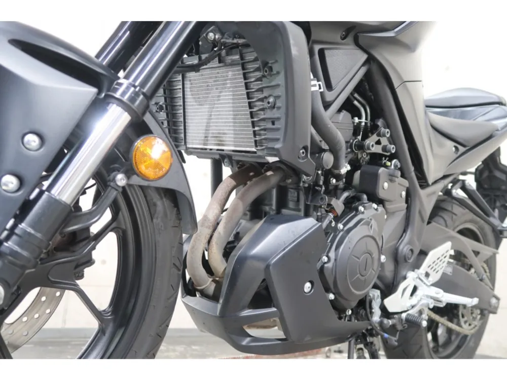 Yamaha YZF-R25, maddo black, фото 10