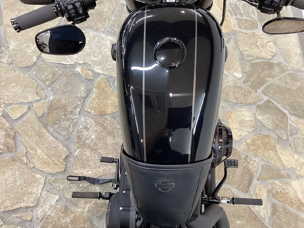 Harley-Davidson XL1200CX Roadster 2017, фото 2