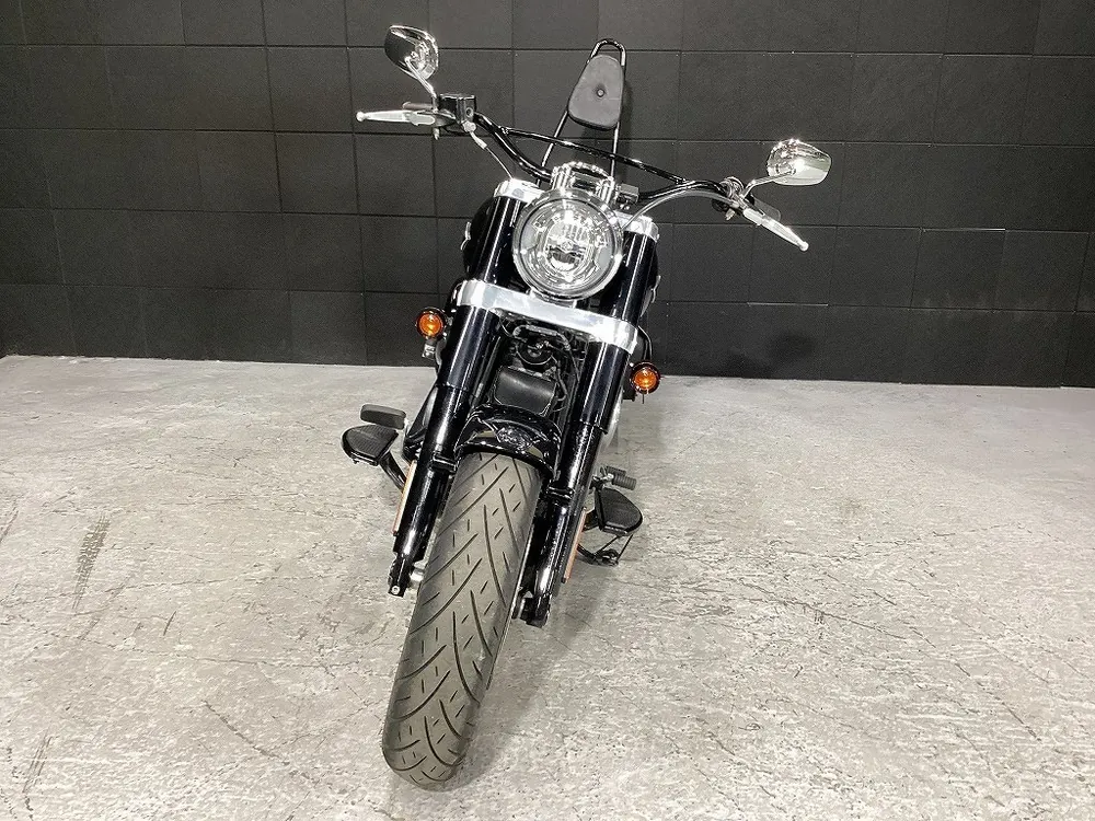 Harley-Davidson FLSL 2019, фото 8