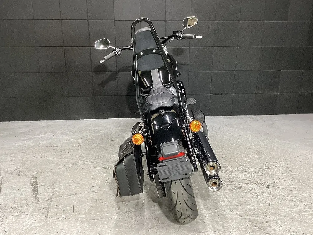 Harley-Davidson FLSL 2019, фото 9