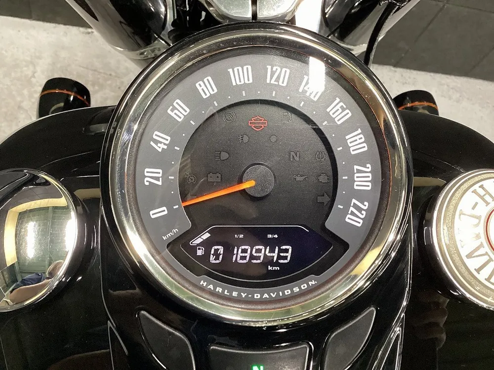 Harley-Davidson FLSL 2019, фото 10