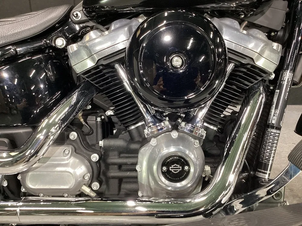 Harley-Davidson FLSL 2019, фото 2