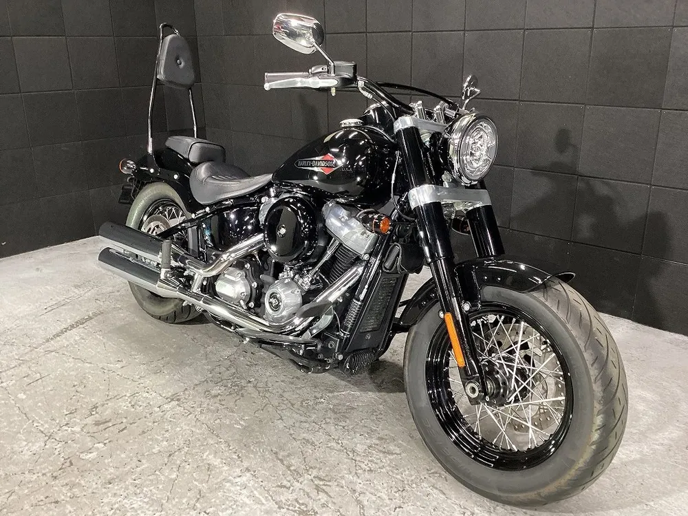 Harley-Davidson FLSL 2019, фото 4