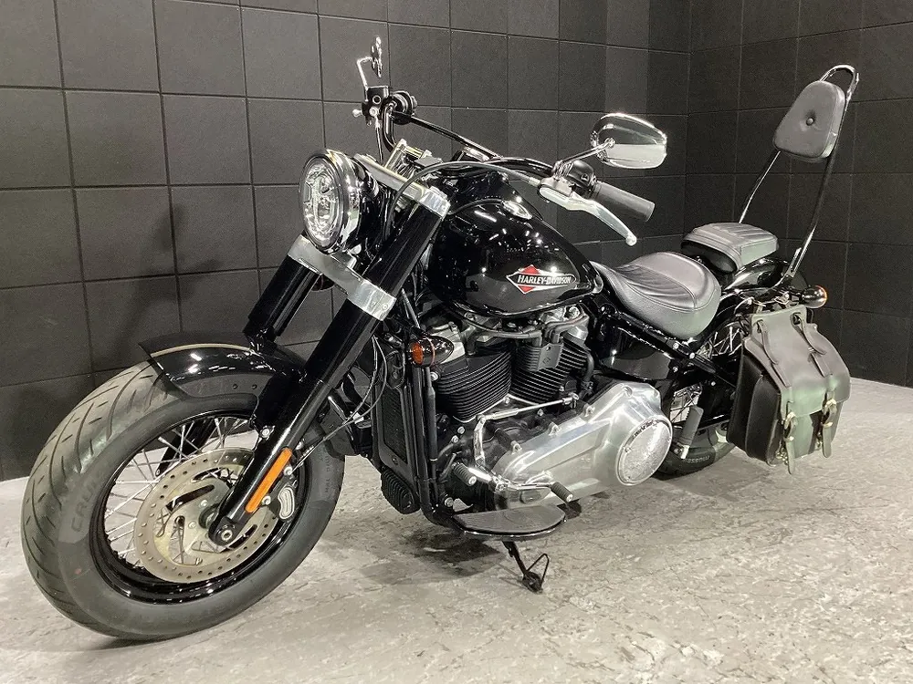 Harley-Davidson FLSL 2019, фото 5