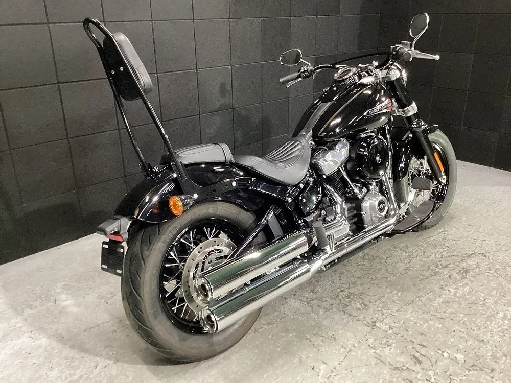 Harley-Davidson FLSL 2019, фото 6