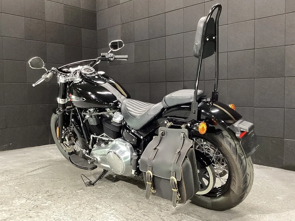 Harley-Davidson FLSL 2019, фото 7