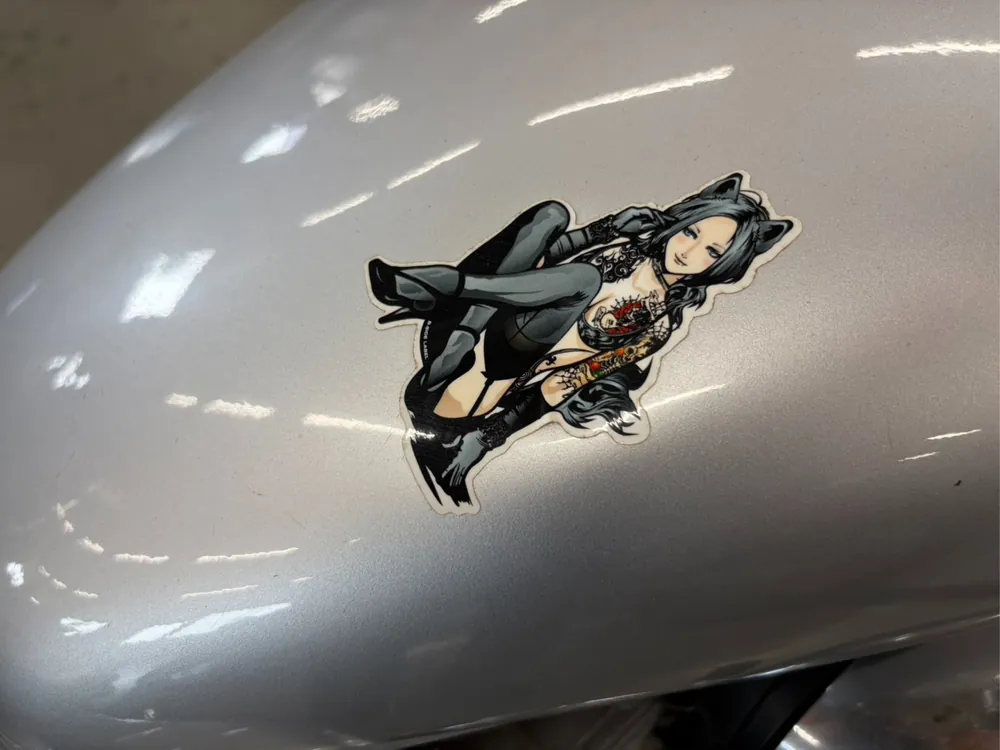 Honda V-Twin Magna 250, серебристый, фото 15