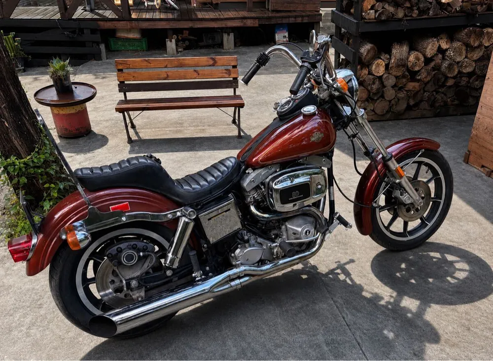 Harley-Davidson FXEF 1981, фото 3