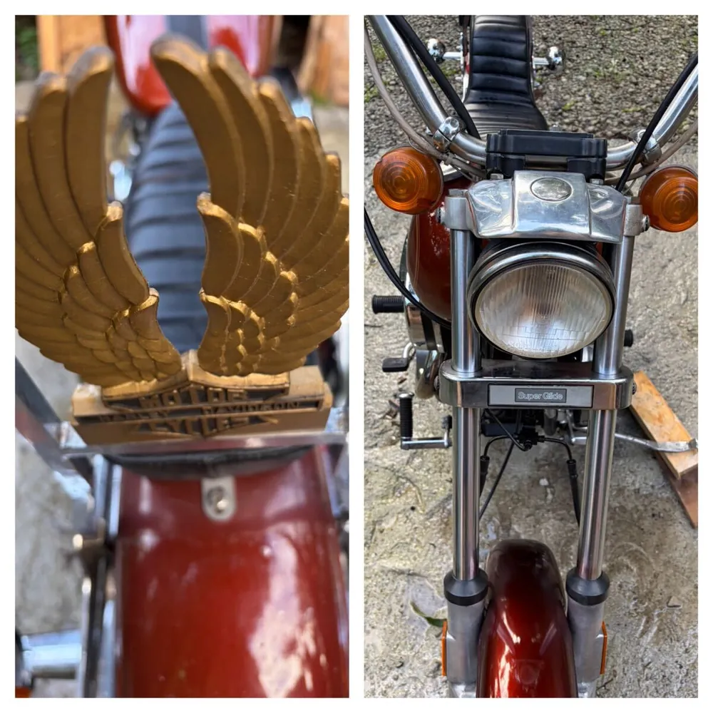 Harley-Davidson FXEF 1981, фото 6