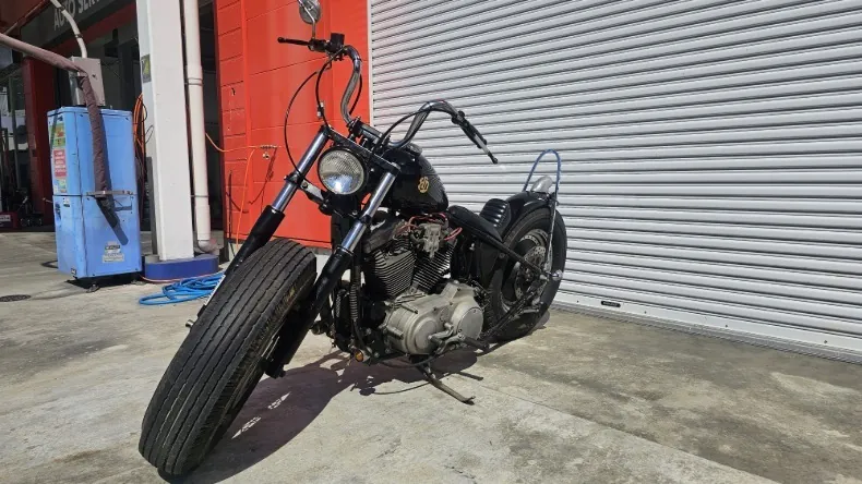 Harley-Davidson Sportster 1200 2000, фото 3