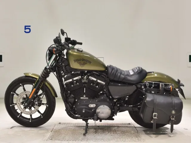 Harley-Davidson XL883N 2015, зелёный, фото 2
