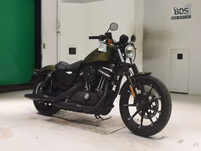 Harley-Davidson XL883N 2015, зелёный, фото 3
