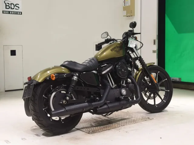 Harley-Davidson XL883N 2015, зелёный, фото 5