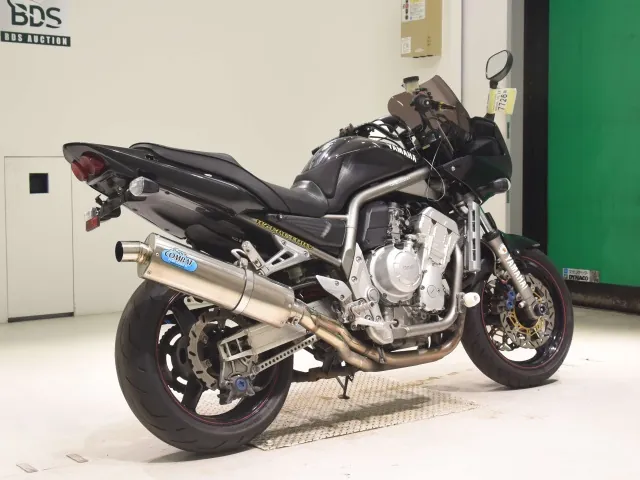 Yamaha FZS1000 FEATHER 2001, gunmetal, фото 5