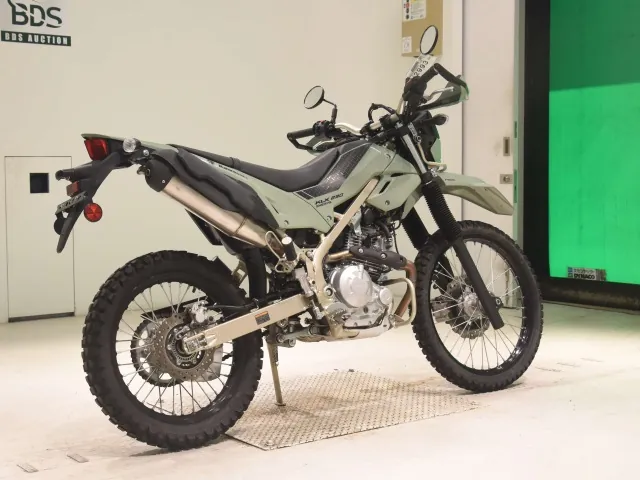 Kawasaki KLX230 Sherpa, зелёный, фото 5
