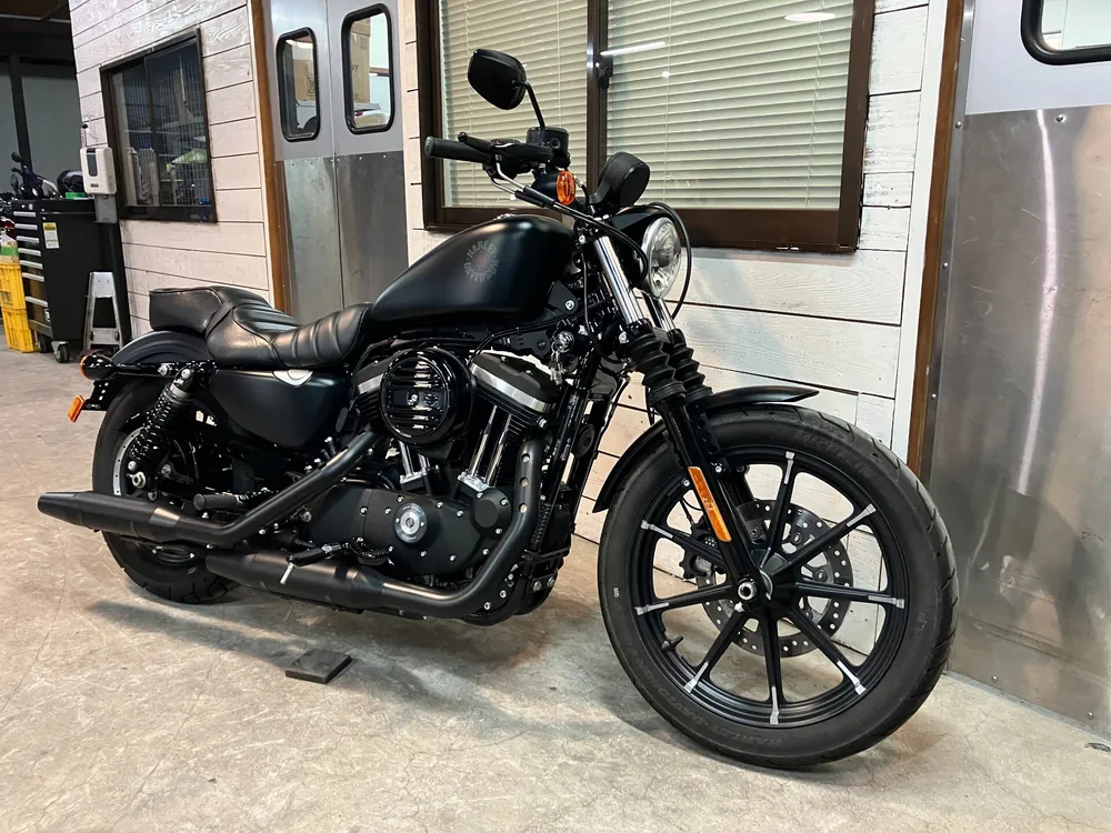 Harley-Davidson Sportster XL883R 2019, maddo black, фото 7
