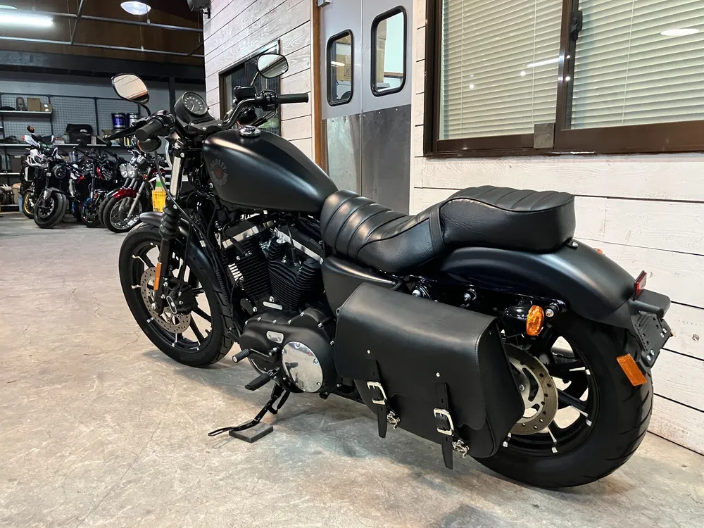 Harley-Davidson Sportster XL883R 2019, maddo black, фото 9