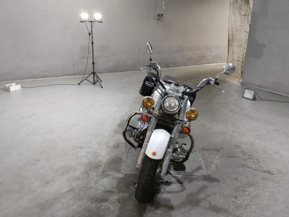 Honda Shadow 750 2009, white / gold, фото 3