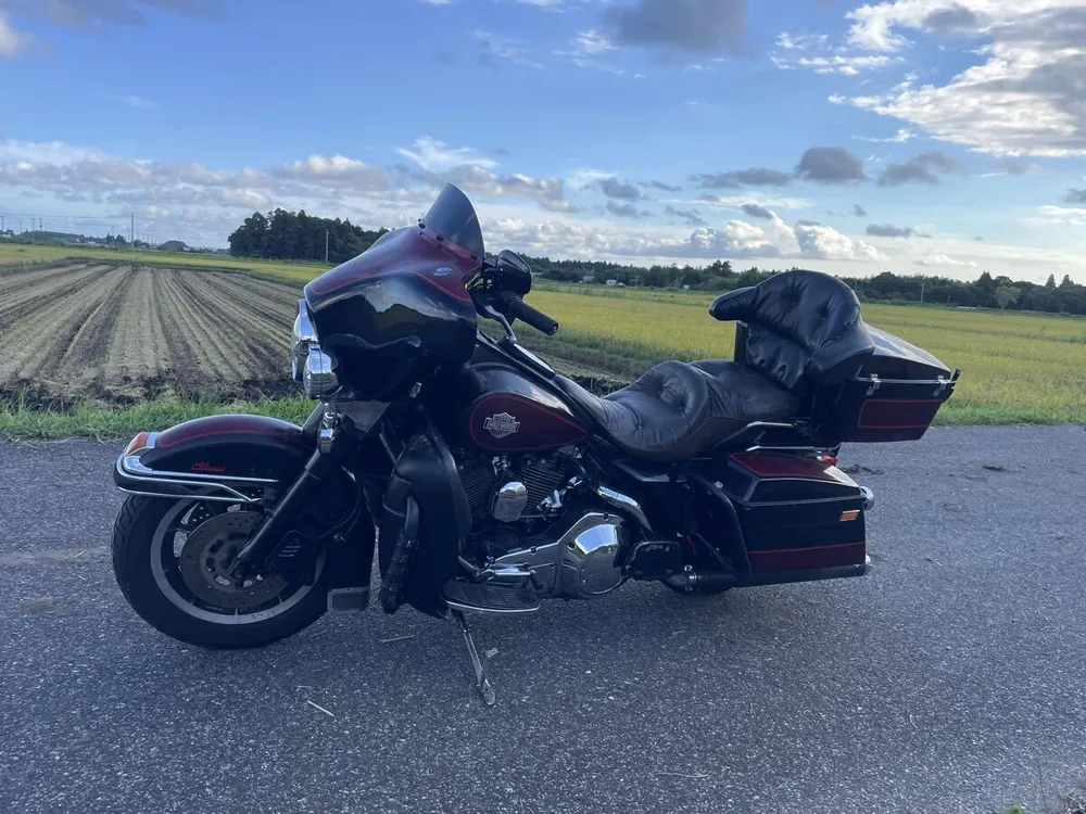 Harley-Davidson FLHTC 1988, фото 4