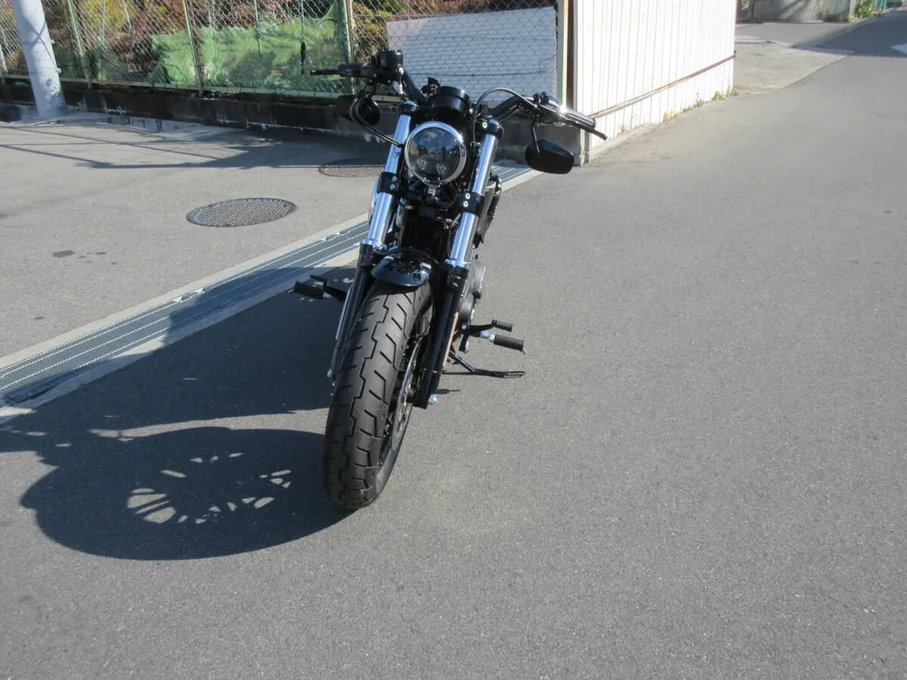 Harley-Davidson XL1200X 2022, фото 9