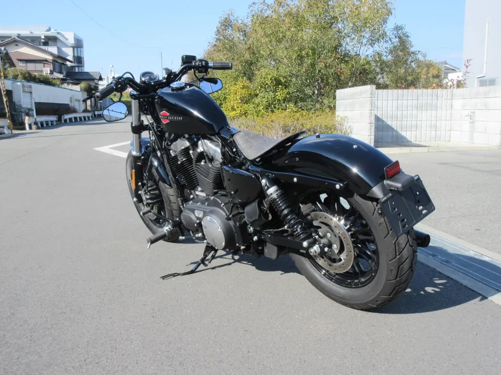 Harley-Davidson XL1200X 2022, фото 10