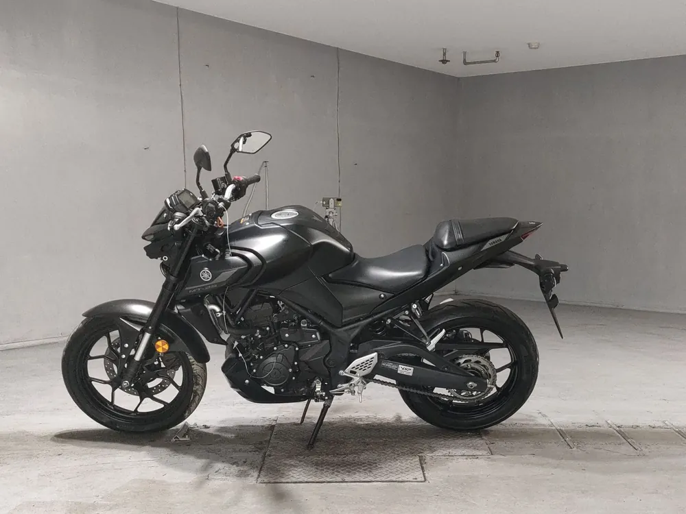 Yamaha YZF-R25, чёрный, фото 2