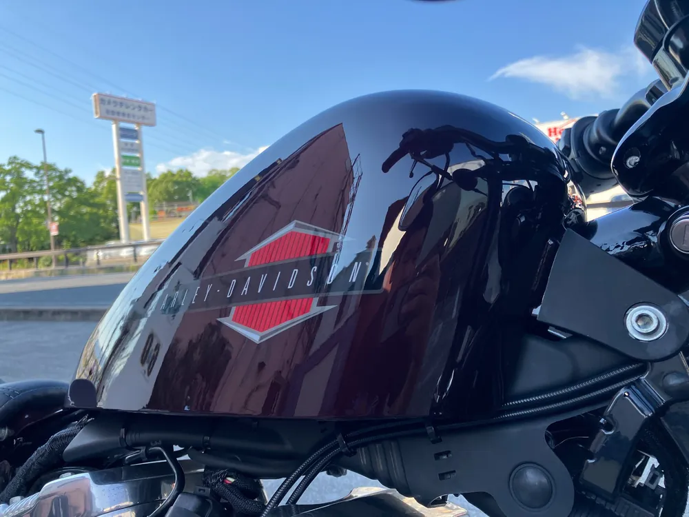 Harley-Davidson XL1200X 2021, light brown, фото 15