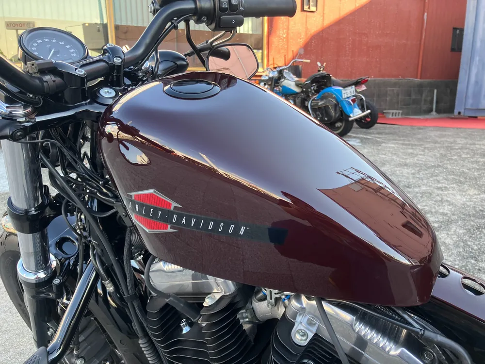 Harley-Davidson XL1200X 2021, light brown, фото 18