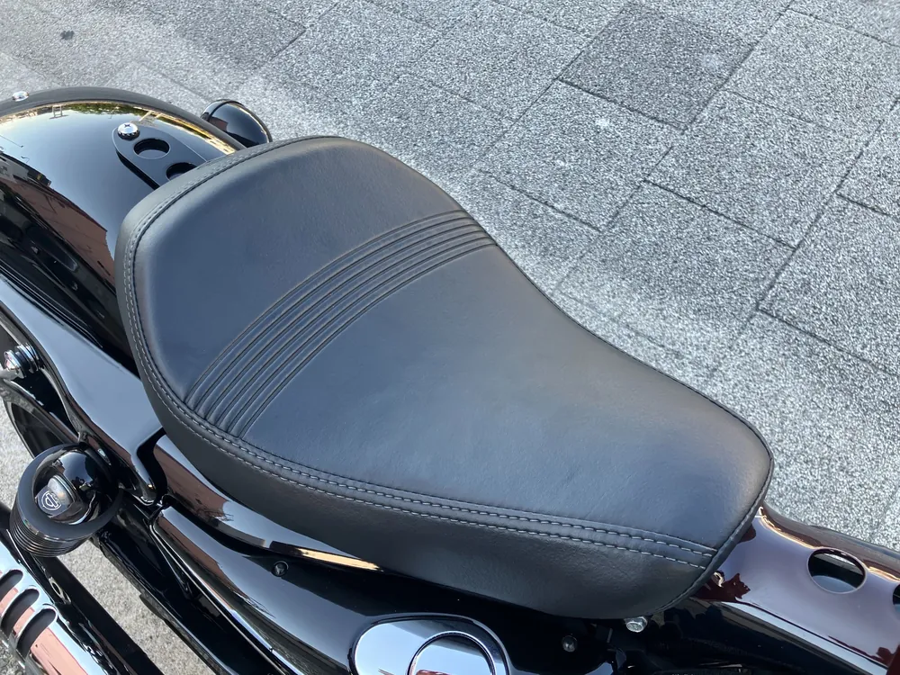 Harley-Davidson XL1200X 2021, light brown, фото 19