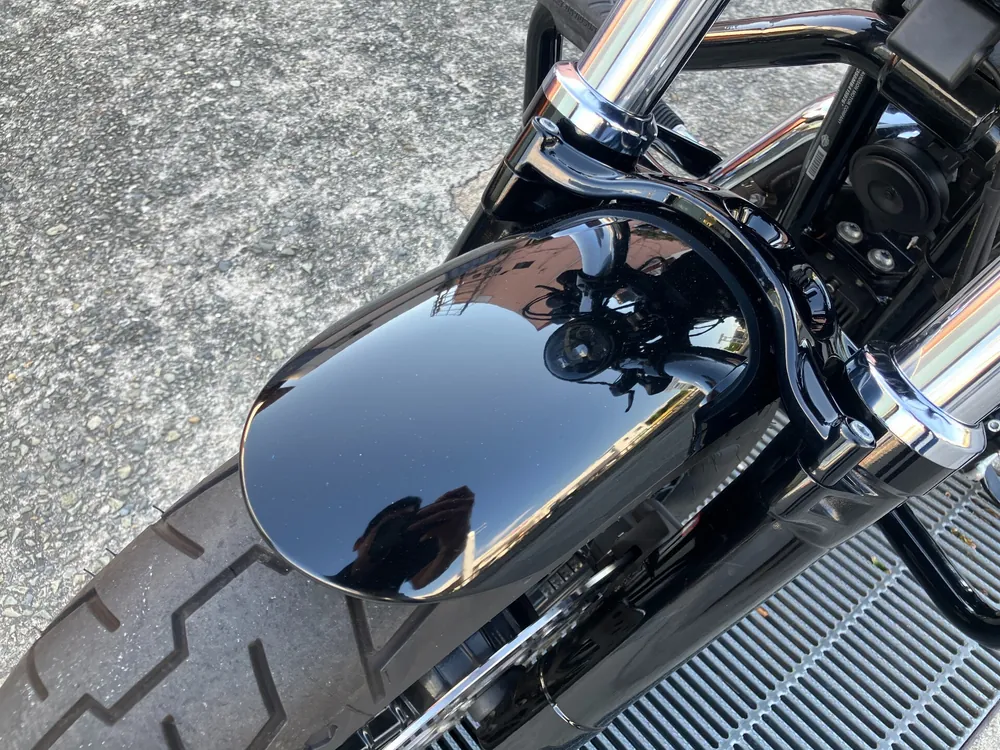 Harley-Davidson XL1200X 2021, light brown, фото 8