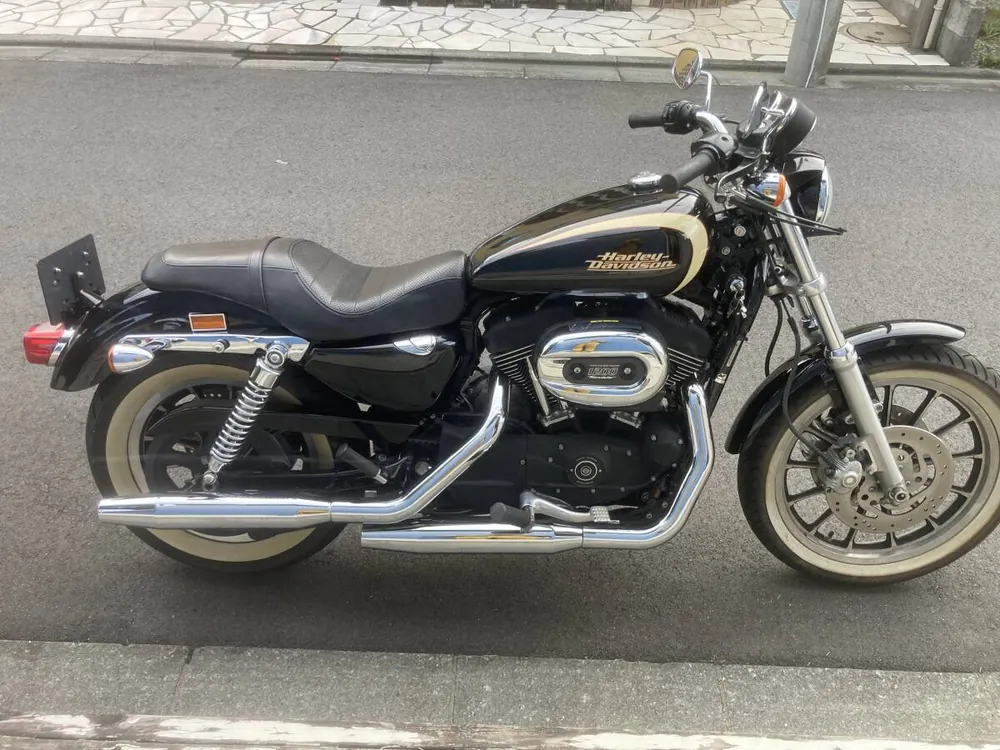 Harley-Davidson XL1200R 2008, фото 3