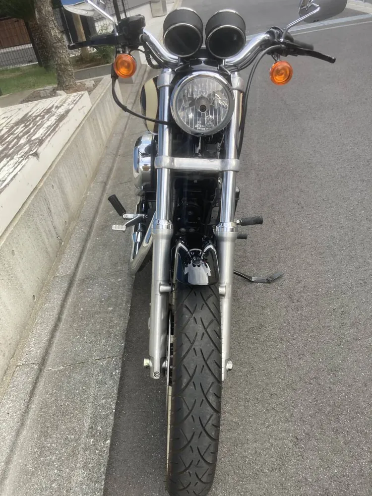 Harley-Davidson XL1200R 2008, фото 4