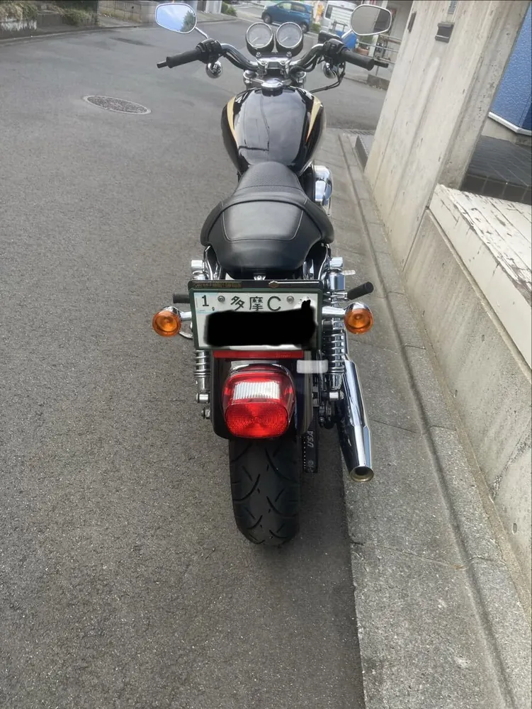Harley-Davidson XL1200R 2008, фото 7