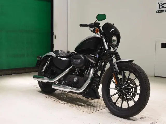 Harley-Davidson XL883N 2009, black | silver, фото 3
