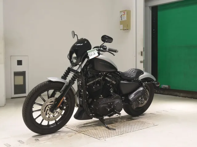 Harley-Davidson XL883N 2009, black | silver, фото 4