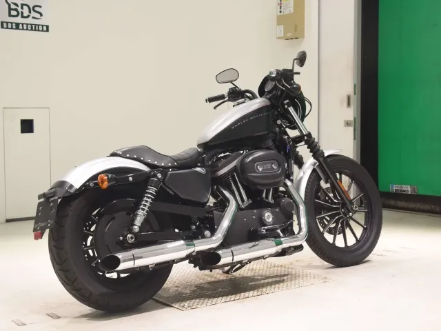 Harley-Davidson XL883N 2009, black | silver, фото 5