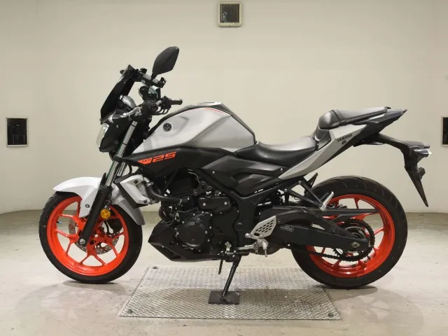 Yamaha MT-25 2020, серый, фото 2