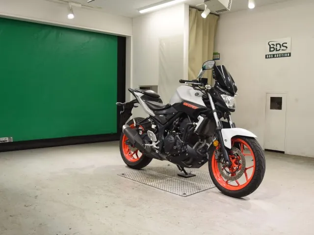 Yamaha MT-25 2020, серый, фото 3