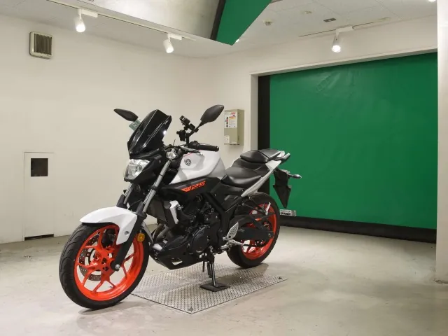 Yamaha MT-25 2020, серый, фото 4