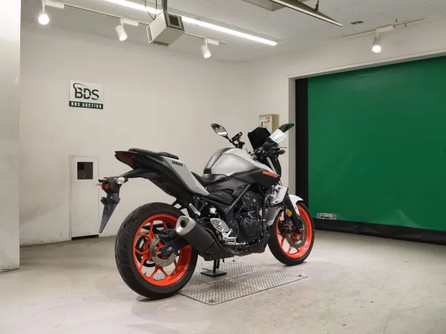 Yamaha MT-25 2020, серый, фото 5