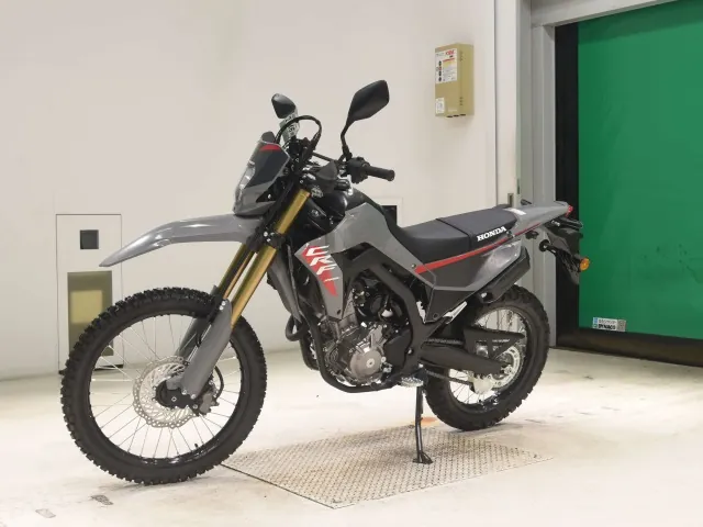 Honda CRF250 Rally, серый, фото 4