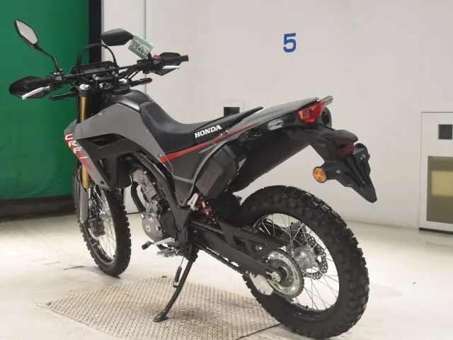 Honda CRF250 Rally, серый, фото 6