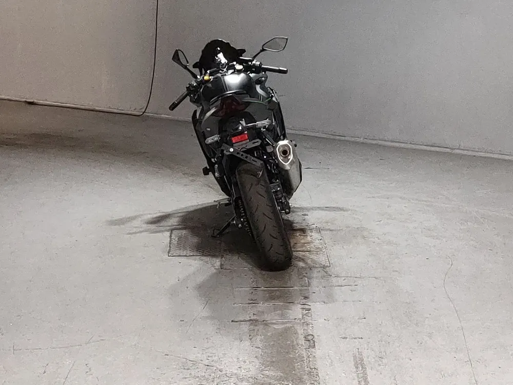 Kawasaki ZX-4R SE 2023, серый, фото 4