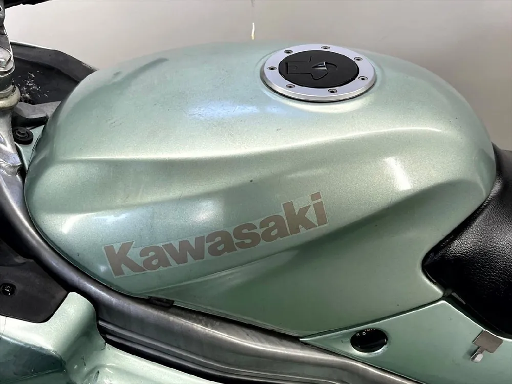 Kawasaki ZZ-R250 1997, фото 9