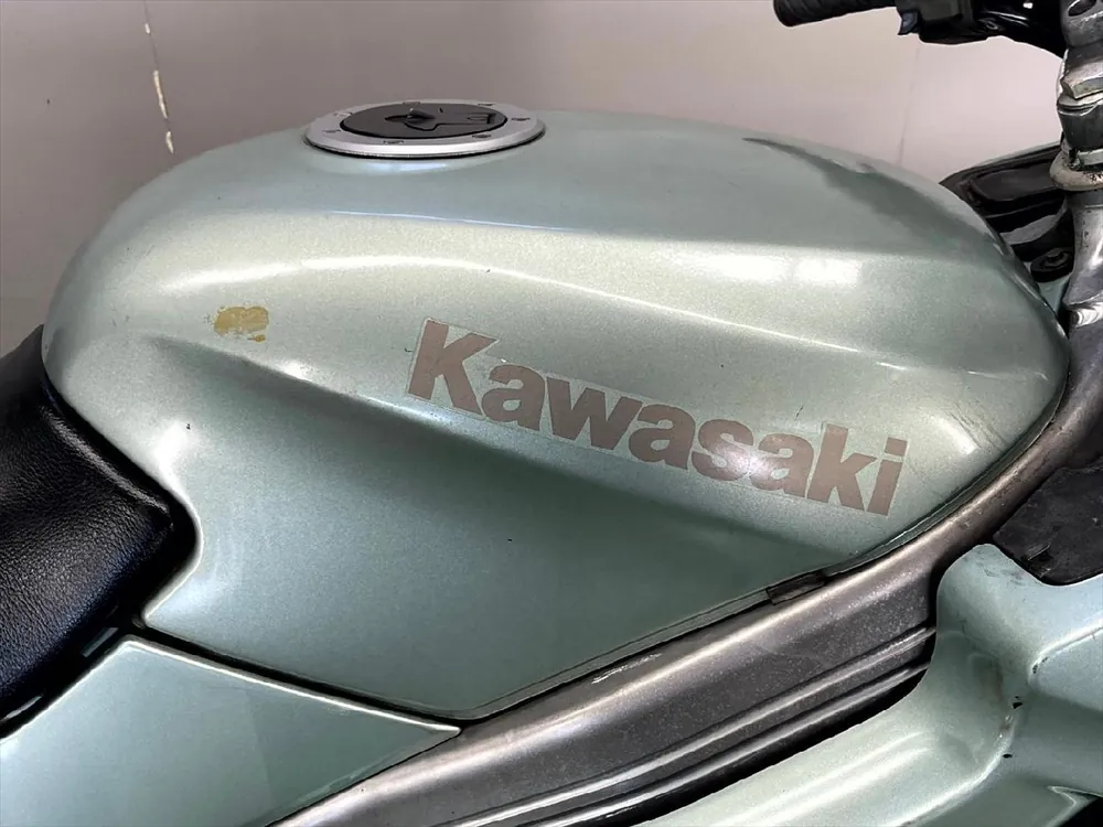 Kawasaki ZZ-R250 1997, фото 5